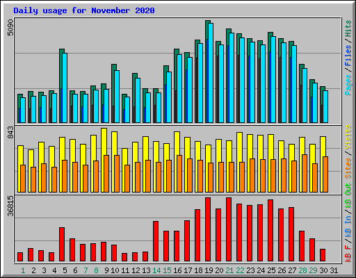 Daily usage for November 2020