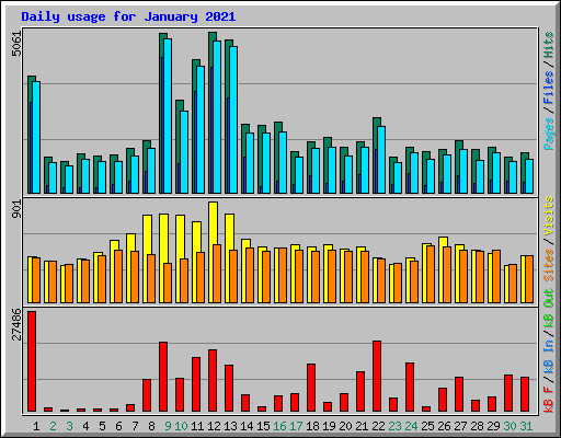 Daily usage for January 2021