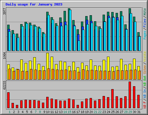 Daily usage for January 2023