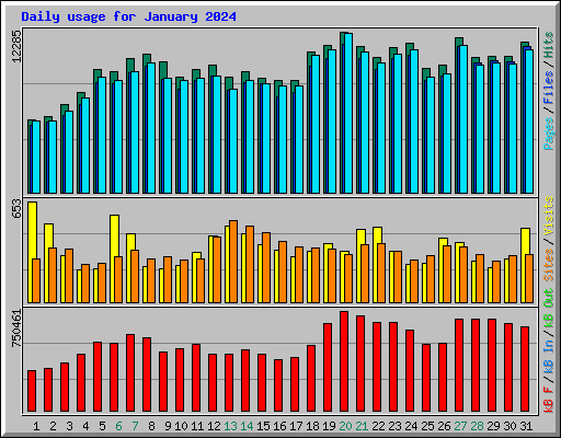 Daily usage for January 2024