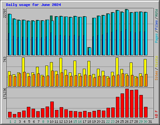 Daily usage for June 2024