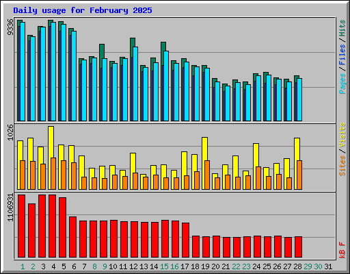 Daily usage for February 2025