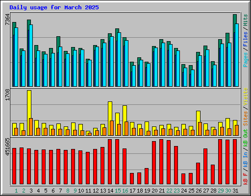 Daily usage for March 2025