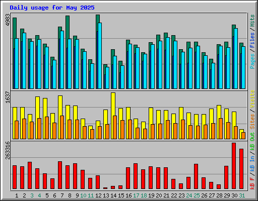 Daily usage for May 2025