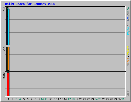 Daily usage for January 2026