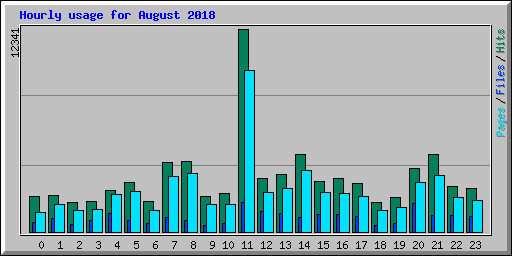 Hourly usage for August 2018