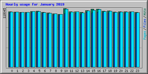 Hourly usage for January 2019