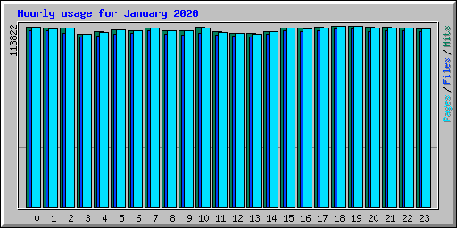 Hourly usage for January 2020