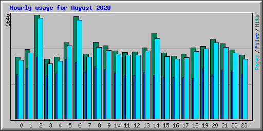 Hourly usage for August 2020
