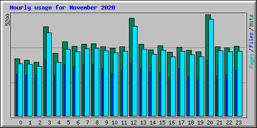 Hourly usage for November 2020