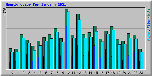 Hourly usage for January 2021