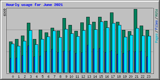 Hourly usage for June 2021