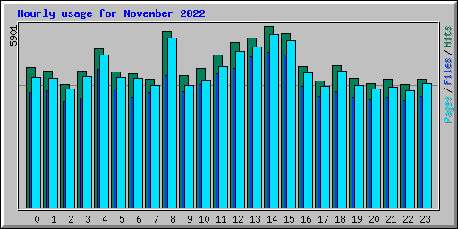 Hourly usage for November 2022