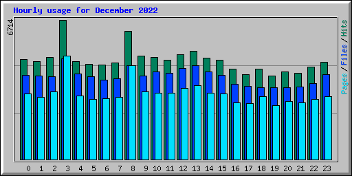 Hourly usage for December 2022