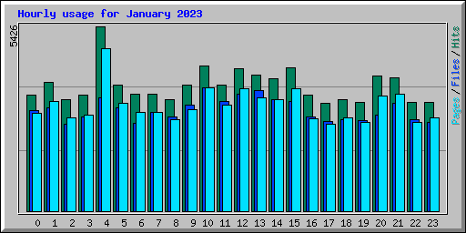 Hourly usage for January 2023