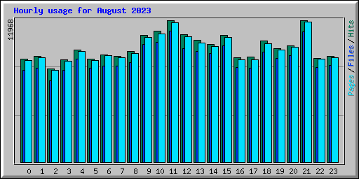 Hourly usage for August 2023
