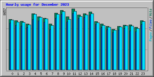 Hourly usage for December 2023