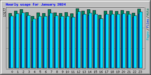 Hourly usage for January 2024