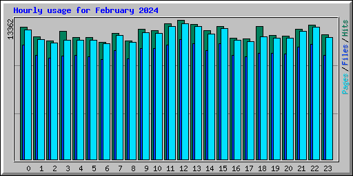 Hourly usage for February 2024