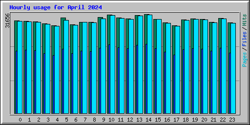 Hourly usage for April 2024