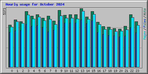 Hourly usage for October 2024