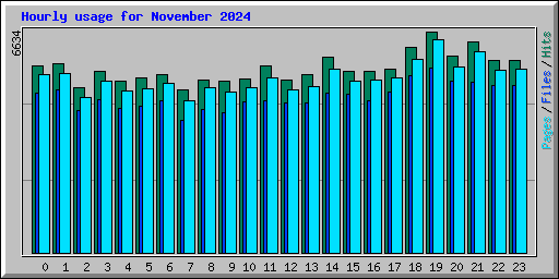 Hourly usage for November 2024