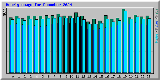 Hourly usage for December 2024