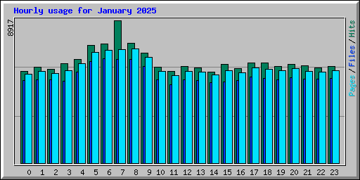 Hourly usage for January 2025