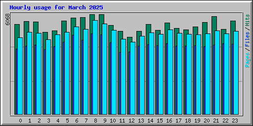 Hourly usage for March 2025