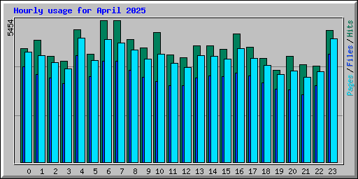Hourly usage for April 2025