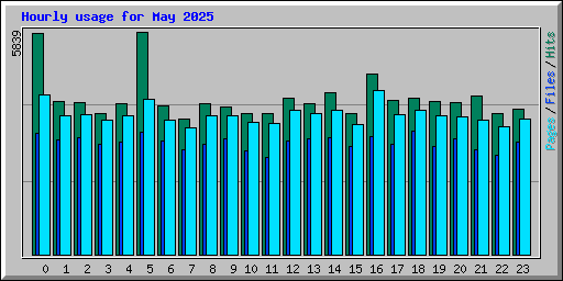 Hourly usage for May 2025