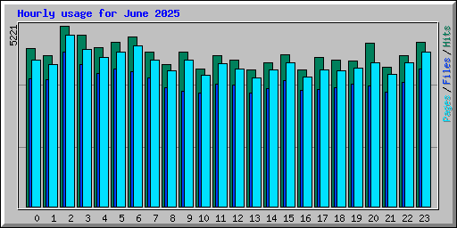 Hourly usage for June 2025