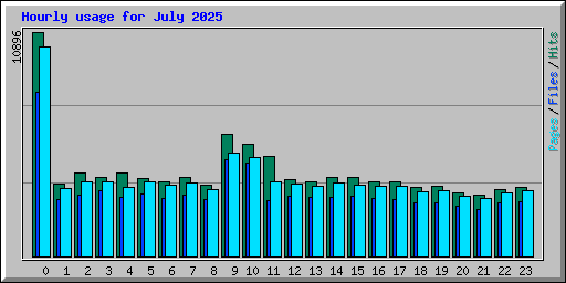 Hourly usage for July 2025