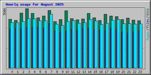 Hourly usage for August 2025