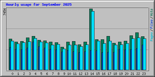 Hourly usage for September 2025