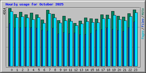 Hourly usage for October 2025