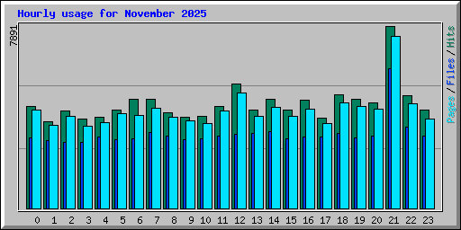 Hourly usage for November 2025