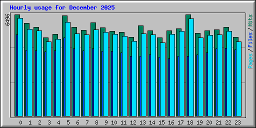 Hourly usage for December 2025