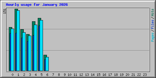 Hourly usage for January 2026
