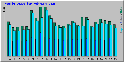 Hourly usage for February 2026