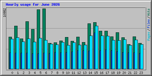 Hourly usage for June 2026