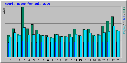 Hourly usage for July 2026