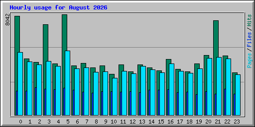 Hourly usage for August 2026